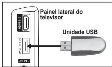 SAMSUNG LE-52F96BD - Utilizar a funcao WISELINK - 1