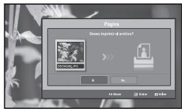 SAMSUNG LE-32M71B - Puede borrar los archivos de imagen seleccionados. - 1