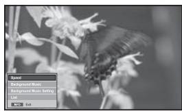 SAMSUNG LE-46N71B - Selecting a Photo and Slide Show - 2