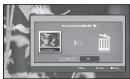 SAMSUNG LE-46N71B - Deleting Image Files - 2