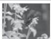 SAMSUNG LE-46N71B - Verwendend der Photoliste (JPEG) - 4