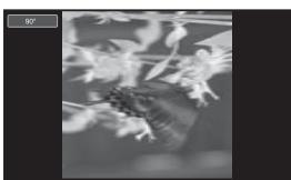 SAMSUNG LE-46N71B - Rotating - 2