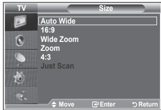 TV Size Auto Wide 16:9 Wide Zoom Zoom 4:3 Just Scan Move Enter Return