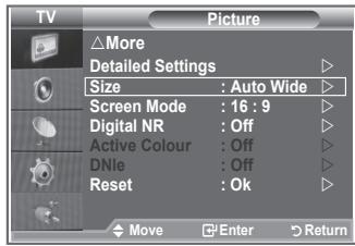 TV Picture △More Detailed Settings Size : Auto Wide Screen Mode : 16 : 9 Digital NR : Off Active Colour : Off DNle : Off Reset : Ok Move Enter Return