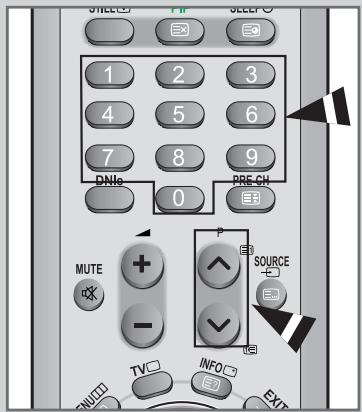 1 2 3 4 5 6 7 8 9 DNie 0 PRE-CH MUTE + - SOURCE - INFO EXIT