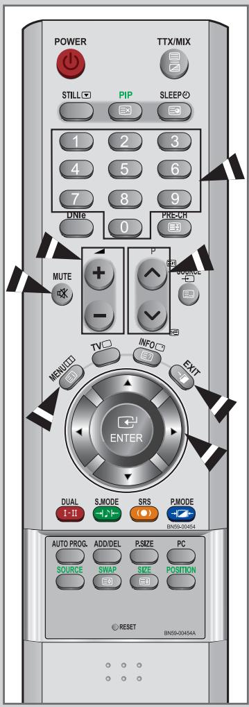POWER TTX/MIX STILL PIP SLEEP 1 2 3 4 5 6 7 8 9 DN16 0 PRE-CH MUTE - P SOURCE MENU TV INFO EXIT ENTER DUAL S.MODE SRS P.MODE 1-II BN58-00454 AUTO PROG. ADD/DEL P.SIZE PC SOURCE SWAP SIZE POSITION RESET BN58-00454A