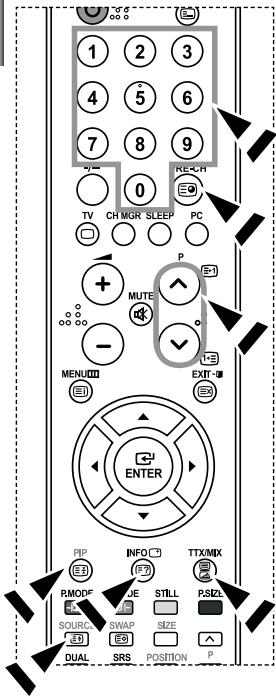 SAMSUNG LE27S71B - Visualizzazione delle informazioni del Televideo - 2