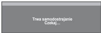 SAMSUNG LE32A330J1 - Reset obrazu - 2