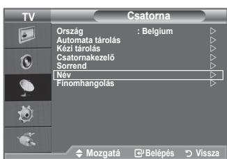 SAMSUNG LE32A450 - A csatornainformaciok sugárzsasakor a keszülk acsatornaneveket automatikusan hozzarendeli a csatornakhoz. Ezek a nevek azonban modosithatk, tehat a csatornakhoz uj neveket is hozzarendelhet. - 1