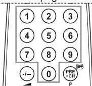 1 2 3 4 5 6 7 8 9 - / - 0 PRE-CH P