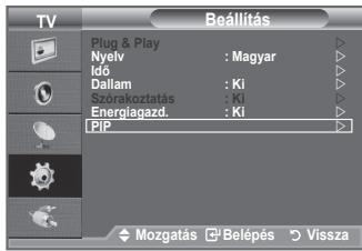 TV Plug & Play Nyelv : Magyar Idő Dallam : Ki Szorakoztatás : Ki Energlagazd. : Ki PIP Mozgatás ▼ Belépés ▼ Vissza