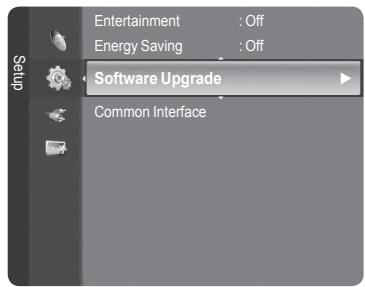 SAMSUNG LE32A466C2M - Upgrading the Software - 2