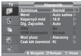 SAMSUNG LE32A553 - Visszatérhet a gyárí képbéallitási alapétrékekre. - 3