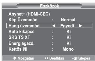 SAMSUNG LE32A553 - Egyszeru beallitas - 2