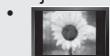 SAMSUNG LE32A553 - Precauciones al做不到 en la pantalla unaImagen fija - 1