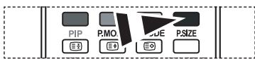 PIP P.MO. SIZE P.SIZE