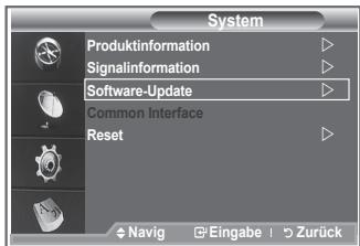 System Produktinformation Signalinformation Software-Update Common Interface Reset Navig Eingabe | > Zurück