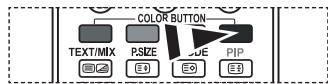 COLOR BUTTON TEXT/MIX P.SIZE CODE PIP