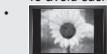 SAMSUNG LE32S86BD - Precautions When Displaying a Still Image - 1
