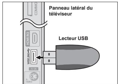 Panneau latéral du téléviseur HOMUN3 WHEELBING AP IN S-VIDEO Lecteur USB