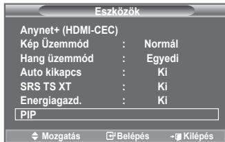 SAMSUNG LE40A552P3R - Egyszerű beállítás - 1