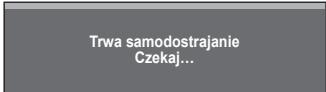 SAMSUNG LE40A552P3R - Konfiguracja telewizora za pośrednictwem komputera - 2