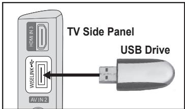 SAMSUNG LE40A552P3R - Using the WISELINK Function - 1