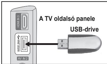 SAMSUNG LE40A552P3R - A WISELINK funkció használata - 1