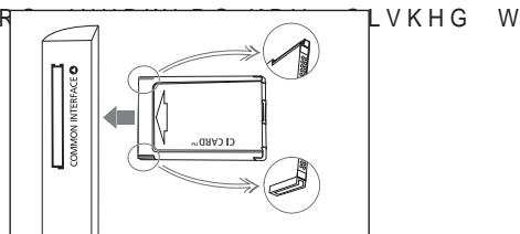 SAMSUNG LE40A557P2F - COMMON INTERFACE Slot - 1