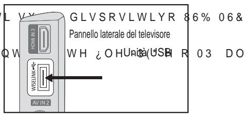SAMSUNG LE40A557P2F - Utilizzo della funzione WISELINK - 1