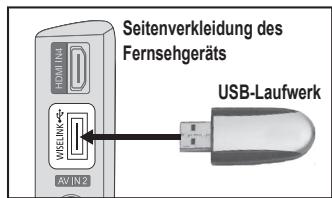SAMSUNG LE40A656A1F - Verwenden der WISELINK-Funktion - 1