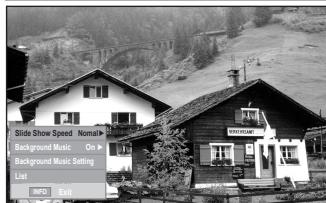 SAMSUNG LE40A656A1F - Viewing a Slide Show - 2