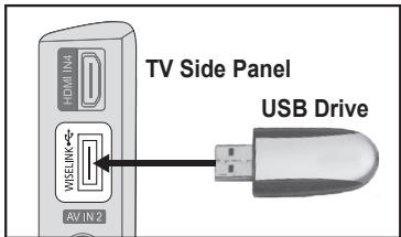 SAMSUNG LE40A656A1F - Using the WISELINK Function - 1