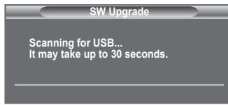 SW Upgrade Scanning for USB... It may take up to 30 seconds.