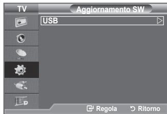 TV Aggiornamento SW USB Regola Ritorno