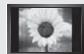 SAMSUNG LE40F86B - Precauções a ter quando se vêem imagens fixas - 1