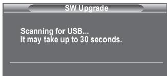 SW Upgrade Scanning for USB... It may take up to 30 seconds.