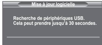 Mise à jour logicielle Recherche de périphériques USB. Cela peut prendre jusqu'à 30 secondes.