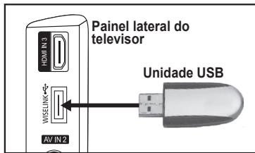 SAMSUNG LE40F86BD - Utilizar a funcao WISELINK - 1
