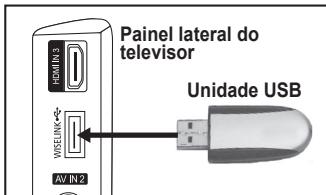 SAMSUNG LE40F86BD - Actualização do Software - 1