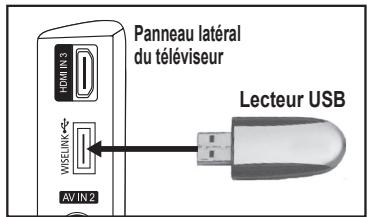 SAMSUNG LE40F86BD - Utilisation de la fonction wiselink - 1