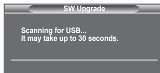 SAMSUNG LE40F86BD - Upgrading the Software - 4