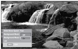 SAMSUNG LE40F86BD - Using the Menu during a Slide Show - 2