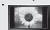 SAMSUNG LE40R73BD - Précautions à prendre lors de l'affichage d'une image fixe - 1