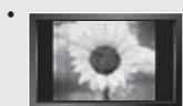 SAMSUNG LE40R73BD - Precautions When Displaying a Still Image - 1