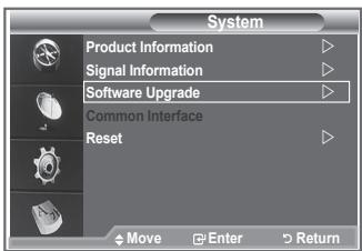 SAMSUNG LE40S86BD - Upgrading the Software - 1
