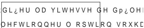 SAMSUNG LE46A557P2F - Utilisation du menu pendant un diaporama - 1