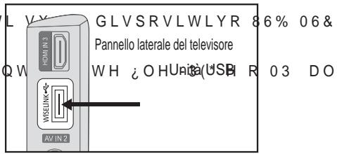 SAMSUNG LE46A557P2F - Utilizzo della funzione WISELINK - 1