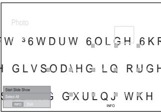 SAMSUNG LE46A559P4F - Viewing a Slide Show - 1