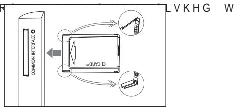 SAMSUNG LE46A559P4F - COMMON INTERFACE Slot - 1